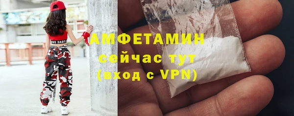 ГАЛЛЮЦИНОГЕННЫЕ ГРИБЫ Богданович